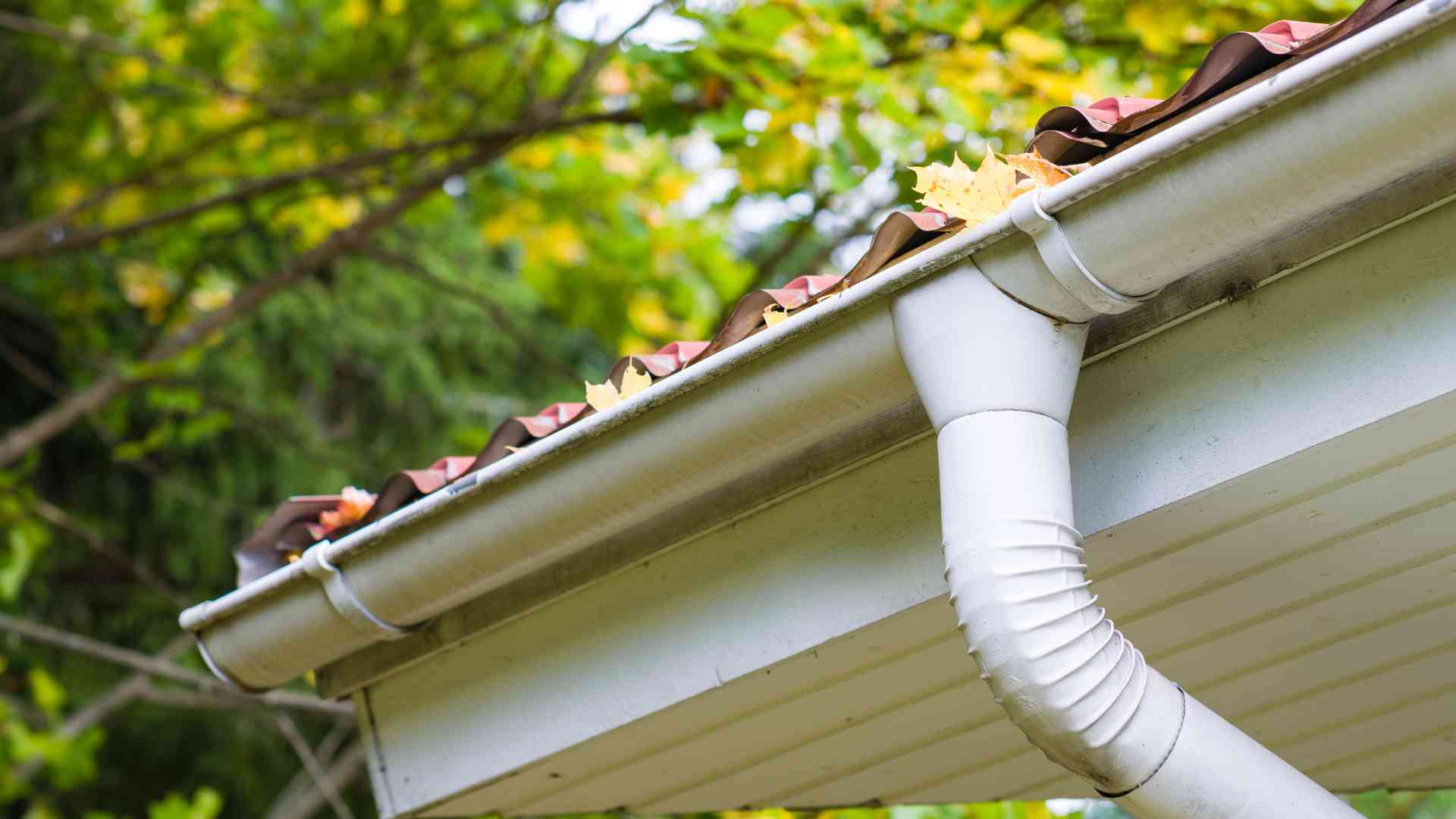 Eavestroughs: Essential Tips For Proper Installation And Maintenance